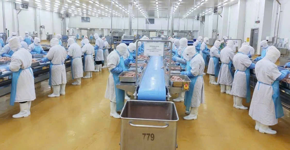 Ảnh minh họa CHẾ BIẾN THỰC PHẨM
